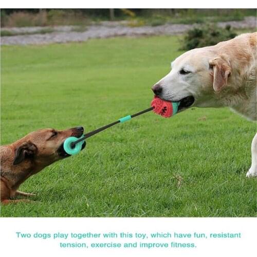 N13 Pet Molar BiteToy Pet Rope Ball Stick Chew Toys Training Tool Support Toothbrush Interactive Dog Toys