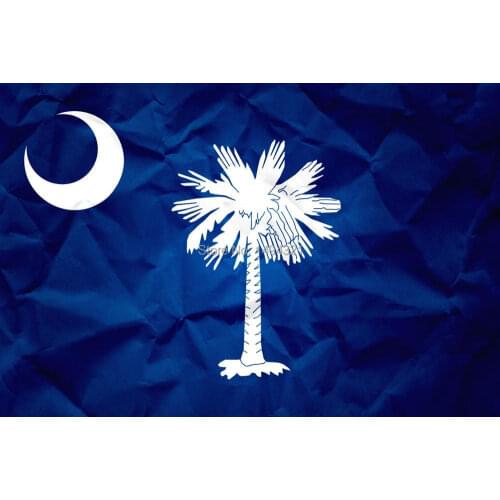 South Carolina Flag SC State Banner Indoor Banner Pennant New Outdoor 3x5 FT