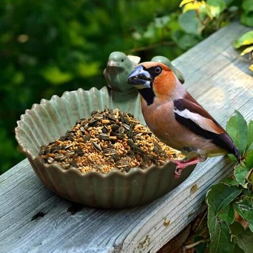 Bird Feeder Ceramic Birth Baths Pet Bird Feeind Tray Garden Decor Birth Feeder Ceramic Aquarium Retro Finish Bird Feeder 2021