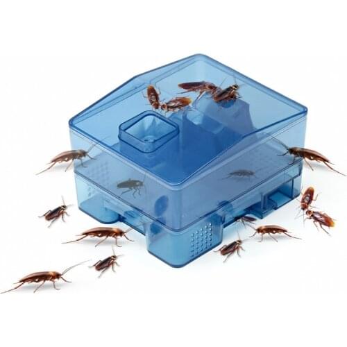 Box Xiaoqiang whole nest cockroach killing cockroach house powder artifact kitchen indoor cockroach powder lure killer catcher