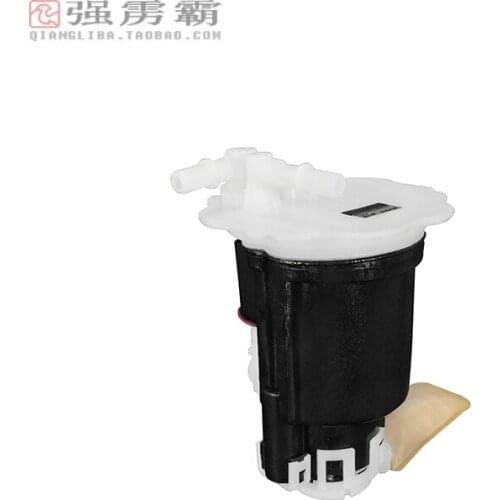 Fuel Pump Module Assembly for old Freema DSF-508#01051019-237