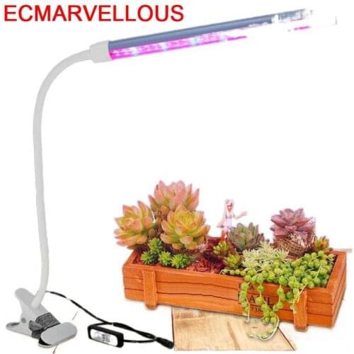 ECMARVELLOUS Phytolamps For Plants
