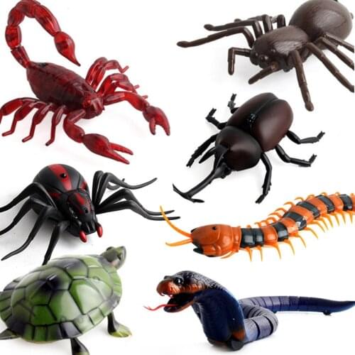 FILEXALLEN Interactive Toys