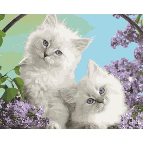 MaHuaf-i143 lovely white cats animal DIY Coloring by Numbers Digital Oil Painting Hand-painted Painting for Children Room Decor