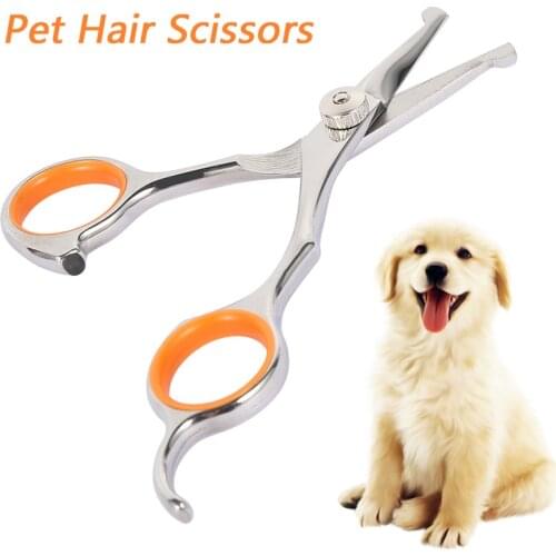 Stainless Steel Pet Dogs Hair Scissors Safety Rounded Tips Grooming Shears Animals Cat Hair Cutting Barber Cutting Tools Kit