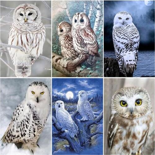 CHENISTORY Frame Diy Paint By Numbers Kits Acrylic Wall Art Home Decors Owl Animals Modern Coloring By Numbers Diy Gift 60x75cm