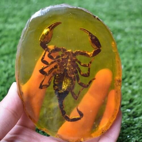 Chinese Collectible Rare Amber Inner Inlay Butterfly True Insect Specimens Animal Statue Small Gift