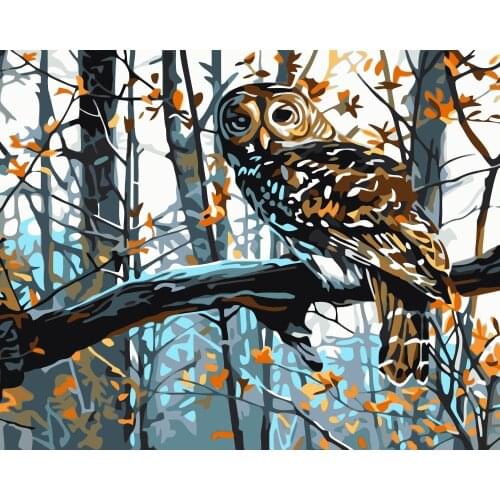 MaHuaf-i784 DIY oil painting by numbers animals forest owl Acrylic picture wall art canvas painting for home decor unique gift