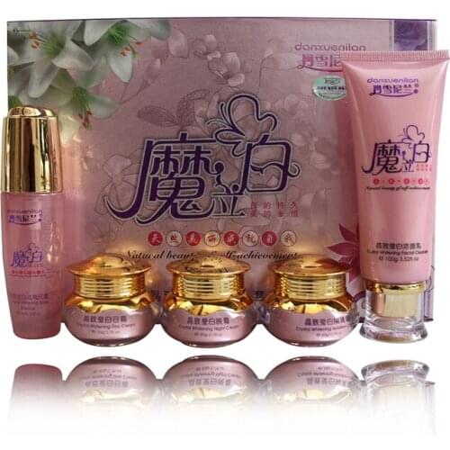 Face Skin Care Set Day cream/Night Cream /Segregation frost/facial cleanser/essence moisturizing whiten Set
