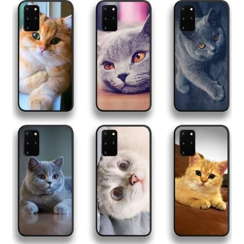 British Shorthair Cat Phone Case For Samsung Galaxy S20 FE plus Ultra S6 S7 edge S8 S9 plus S10 5G lite 2020