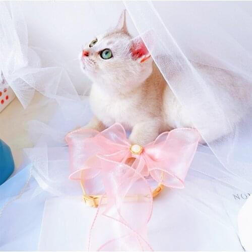 Cat Dog Collar Fairy Princess Wind Puppet Blue White Short Teddy Lace Bow Bib Jewelry Collar kitten accessories