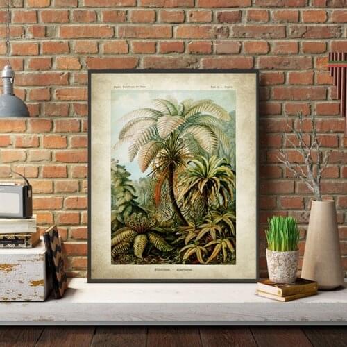 Ernst Haeckel Biology Posters Palm Tree Prints Vintage Hummingbird Botanical Tropical Wall Art Retro poster kraft paper