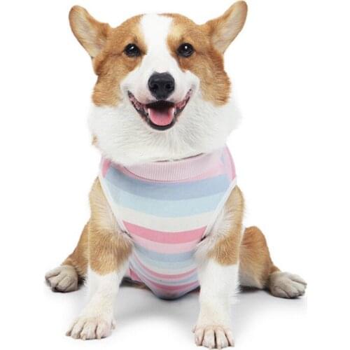 Pet Dogs Maintain Clothes Operation Recovery Surgery Suit Anti Licking Wounds After Surgery Four-legged Jumpsuit Hot Sell