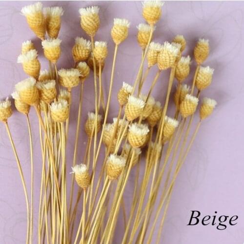 50pcs Natural Simulation Flowers Imported Ins Dried Flower Bouquet Real Happy Flower Shooting Props Sticky Material Decorative