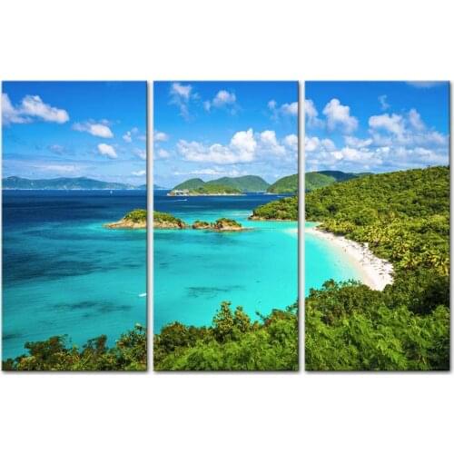 3 Pieces Trunk Bay St John Virgin Islands United States Seascape Beach Framed Picture Painting On Canvas Print Drop shipping