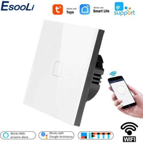 Esooli EU Standard Tuya/Smart Life/ewelink 1 Gang 1 Way WiFi Wall Light Touch Switch for Google Home Amazon Alexa Voice Control