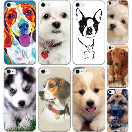 Pet dog Soft TPU Phone Case For Sony Xperia XZ5 XZ3 XZ2 XZ4 Compact XA3 XA1 Plus XA2 Ultra L4 L3 5 10 1 II E5 8 Lite Cover