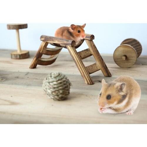 Pet Hamster Mouse Bird Wooden Bridge Climbing Ladder Exercise Game Stairs Toy