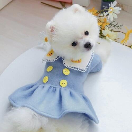 New Products Autumn Winter Pet Clothes Dog Skirt Embroidered Lapel Lovely Strawberry Princess Dress Dog Teddy Cat Costume