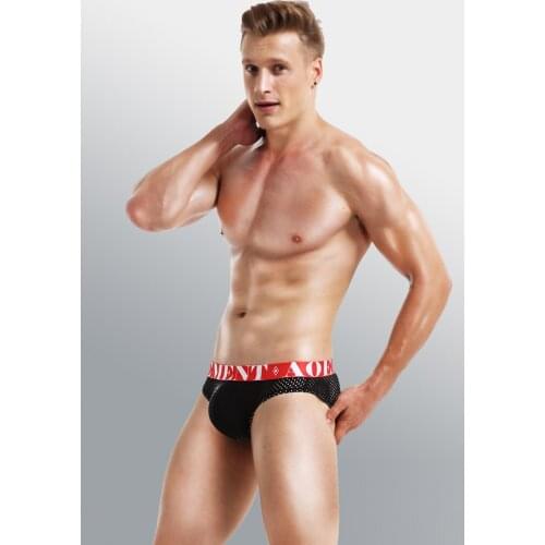 2021 New Mesh Briefs Bikini Pouch For Guys Man Nylon Soft Designer 10 Mid-Waist Underwear Teenager Zyoku Tanga Panties For Male