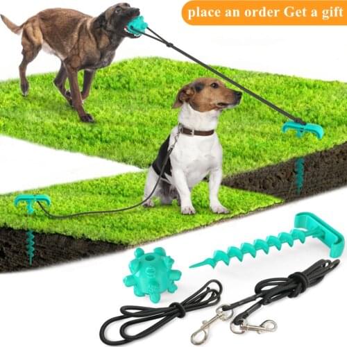 Outdoor pet leash dog fixing nail bolt dog ground nail molar biting dog toy rubber chewing ball cleaning teeth interactive toy