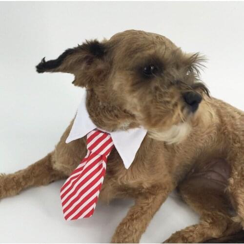 Clearance Sale S/L High Quality Pet Dog Cotton Tie Striped Puppy Ties Dog Accessories Small Dog Supplies