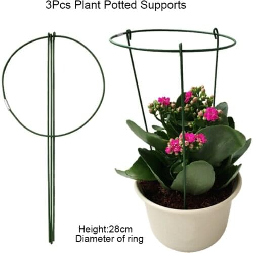 3 Pcs Plant Support Ring Rust Flower Garden Plant Garden Vegetables plant stand Garden Tools Plant Support