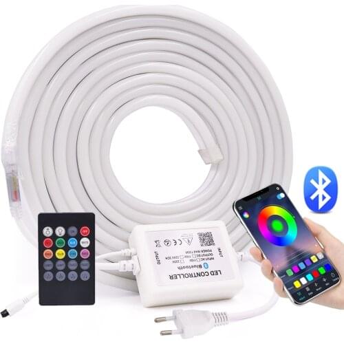 RGB Neon Light WIFI Bluetooth Control Flex Rope Neon Sign 5050 60Leds/m Waterproof Neon Tape Tube 220V AC Neon Rainbow Lamp