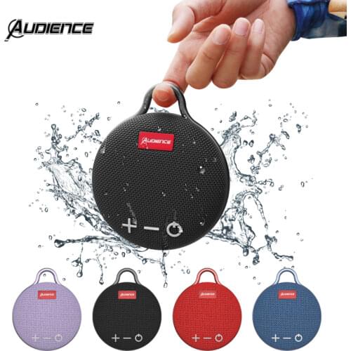 Audience Electronics