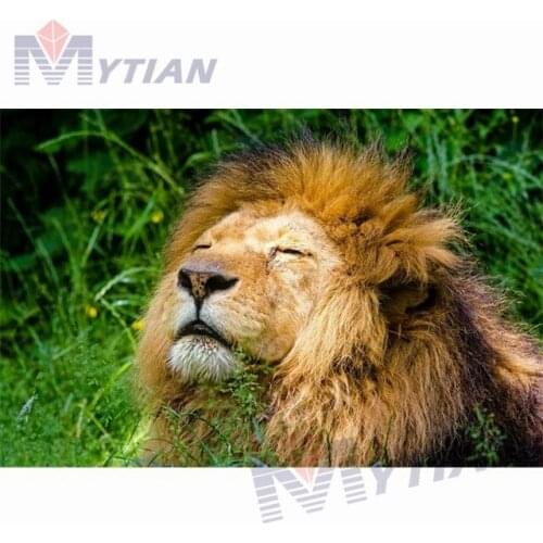 5D DIY Full Drill Square Round Diamond Painting Cross Stitch African Lion Rhinestone Diamond Embroidery Mosaic PictureHome Decor