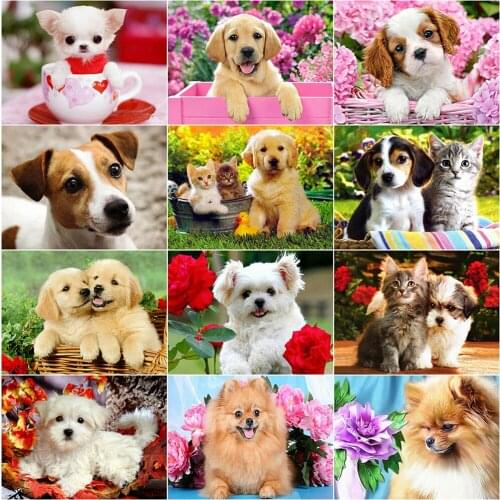 KAMY YI Animal Dog Cute Diamond Painting Cross Stitch 5D Diy Embroidery Full Diamond Mosaic Art Craft Home Decoration