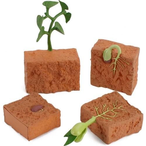 4Pcs Plants Grown Toy Simulation Educational PVC Plant Growth Cycle Model for Home