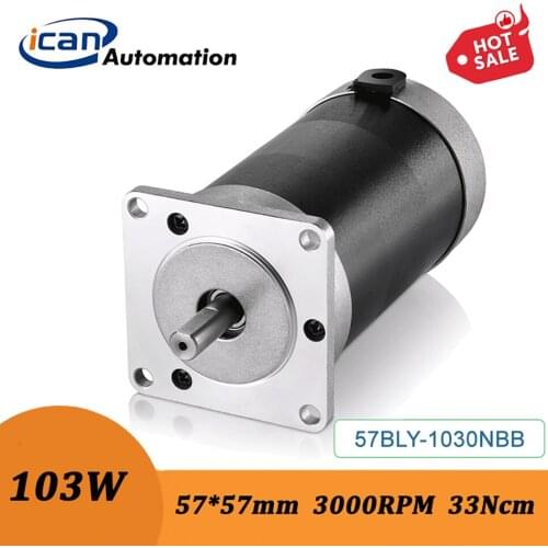 ICAN Brushless Dc Machine 103W 24v 33Ncm Bldc Elektromotor Motor Buy Online