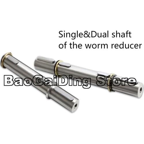 NMRV Worm Gear Reducer Single/Dual Output Shaft RV030, RV040, RV050, RV063, RV075,RV090