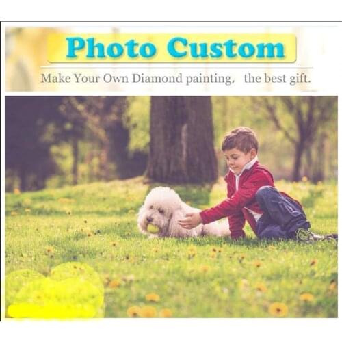 Photo Custom 5D Diamond Painting Private Custom Cross Stitch Life Record Photo diamond embroidery full set diamond mosaic Sale