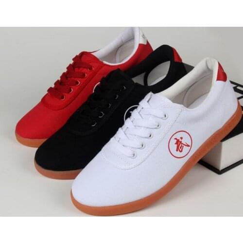 Unisex Spring&Summer white/red/black kung fu tai chi training canvas shoes taiji Martial arts wushu sneakers shoes
