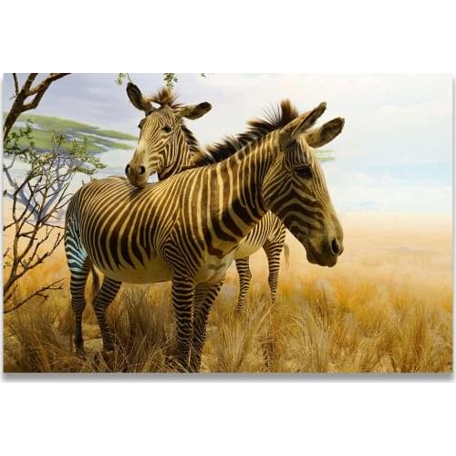 Black White Zebras Posters and Prints Wall Pictures for Living Room Decoration Africa Zebras Art Canvas Painting Cuadros Art
