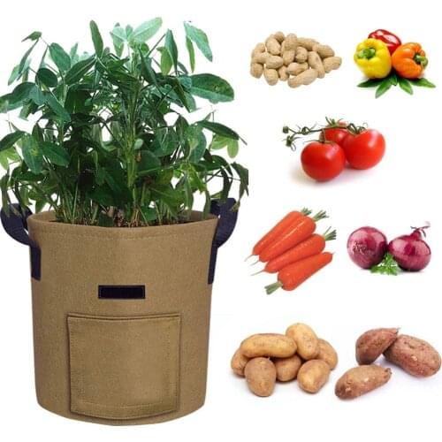 3 Size Plant Grow Bags Vegetable Tomato Potato Seeding Growing Bag Nonwoven Fabric Cloth Pot for Home Garden Greenhouse Farm