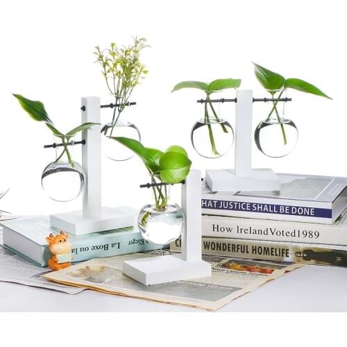 Home Decorations Hydroponic Plants Retro Flowers Transparent Wood Frame Glass Plate Plants Indoor Bonsai Decoration