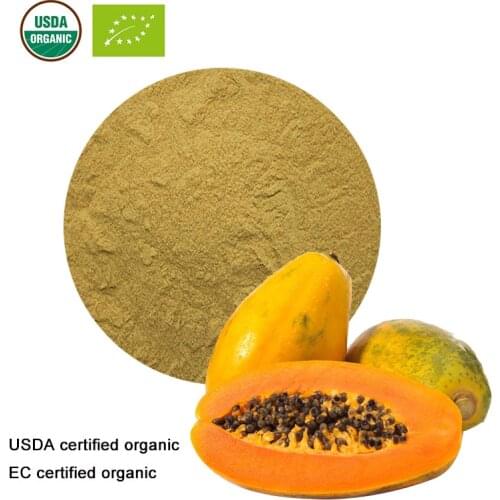 USDA and EC Certified Organic Pawpaw fruit powder Papaya Extract 10:1 Papain Enzyme candy