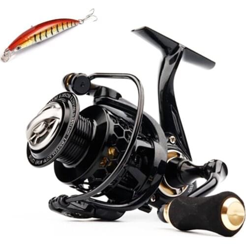 Spinning Reel Spools Smooth 5.2:1 Gear Ratio 10+1BB Freshwater Carp Fishing Wheel Fishing Gear