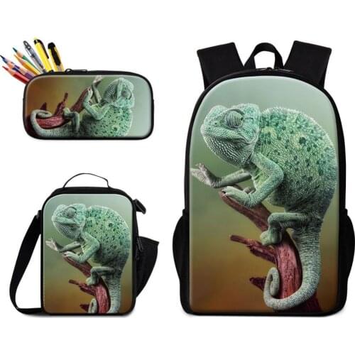 3 Piece in 1 Set High-definition Prints Cartoon Lizard on Knapsack with Lunch Pouch and Pencil Case Box Bags Students Schoolbag