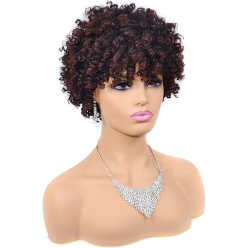 ZM Afro Curly Short Synthetic Wigs For Women Black/Brown/Silver/White/#613/ Grey Colored Short Loose Kinky Curly Wig Free Gift