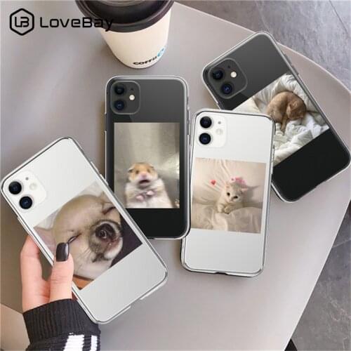 Cute Animals Cat Dog Cartoon Phone Case For iPhone 11 12 Pro Mini Max X XR XS Max 7 8 Plus SE 2020 Clear Silicone Soft TPU Cover