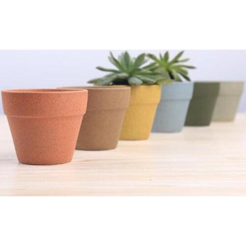 Simple Style Planter Fleshy Container Desktop Ornaments Coarse Pottery Candy Color Flowerpot Breathable Succulent Plant Pot