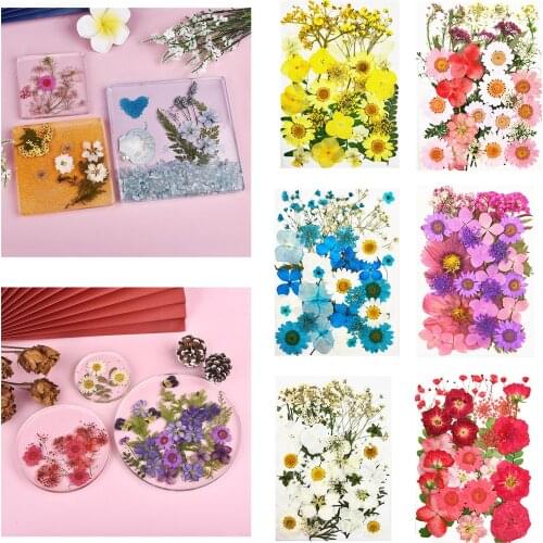 Dried Flowers DIY UV Resin Fillers Natural Flower Dry Beauty Pressed Flowers For Nail Art Epoxy Resin Filling Jewelry Decoration