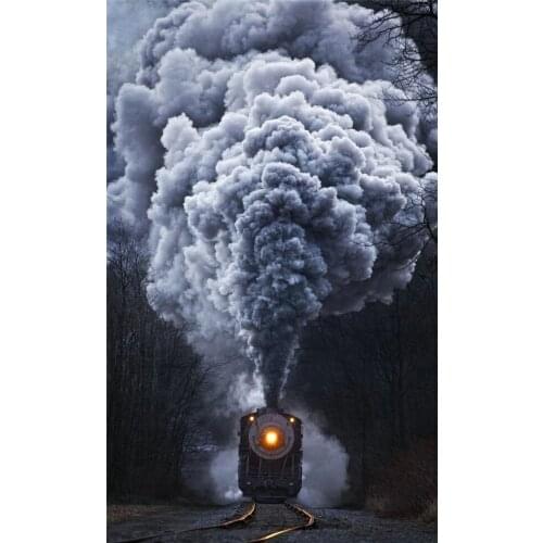 DIY 5D Diamond Mosaic Portrait Handmade Diamond Painting Cross Stitch Kits Diamond Embroidery Roaring train Pattern Rhinestone