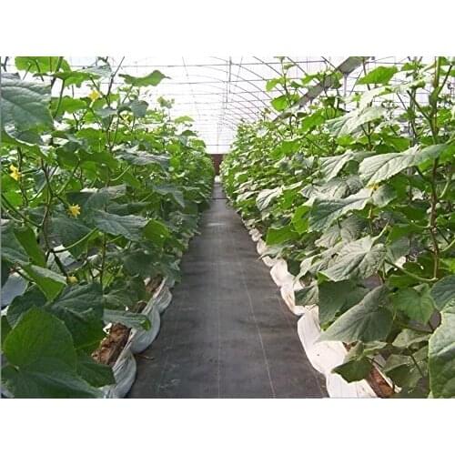 Landscape Ground Cover Woven Weed Barrier Soil Erosion Control Mulch Weed Block