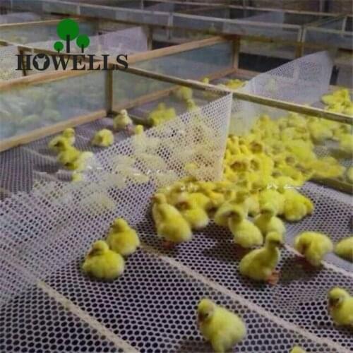 Chicken Cage Pad Feet Defoaming Board Plastic Net Breed Poultry Chickens Leakage Fecal Network Plastic Mesh