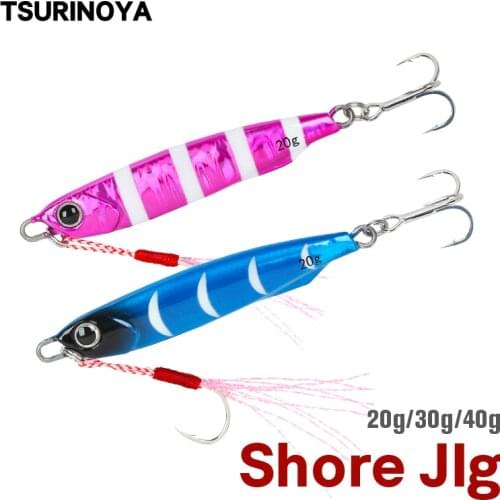 TSURINOYA 20g 30g 40g Shore Jig Metal Fishing Lure Long Casting Fishing Lure BAYONET Inshore Sea Fishing Hard Bait Bass Jigging